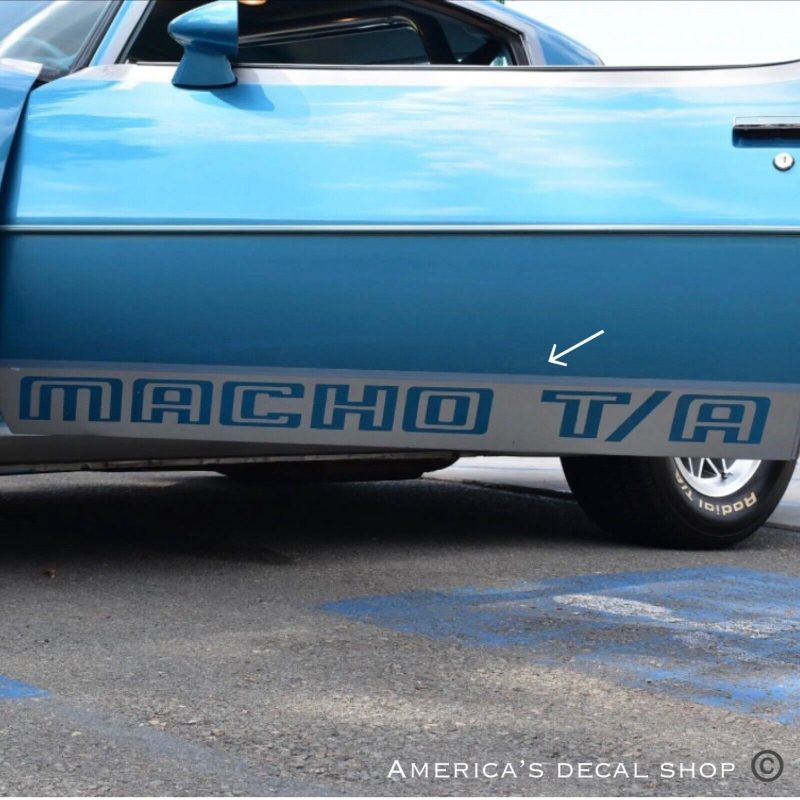 OEM Pontiac Firebird Trans Am Macho T/A Lower Door Trunk Decals
