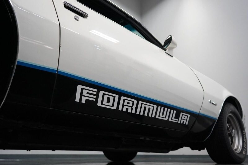 OEM Formula Outline Decal 2PC Kit New Lower Doors Fits Pontiac