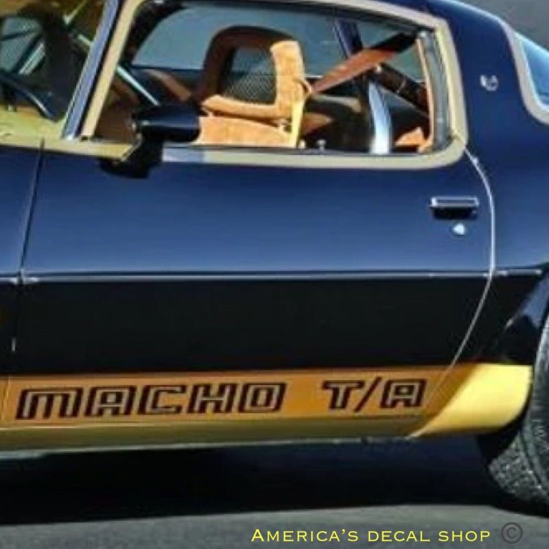 OEM Pontiac Firebird Trans Am Macho T/A Lower Door Trunk Decals